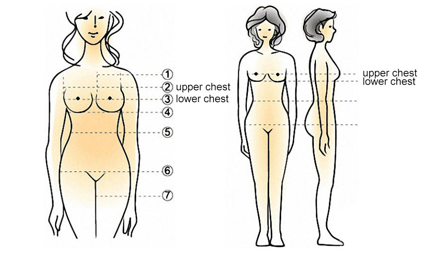 http://www.china-tapemeasure.com/images-tips-tape-measure/measure-female-chest-en.jpg